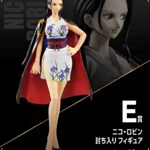 Nico Robin / Bandai Spirits / Ichiban Kuji Vol. 100 Anniversary – Lot E